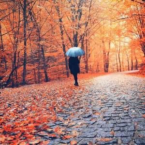 Meet your Posher, Aicha